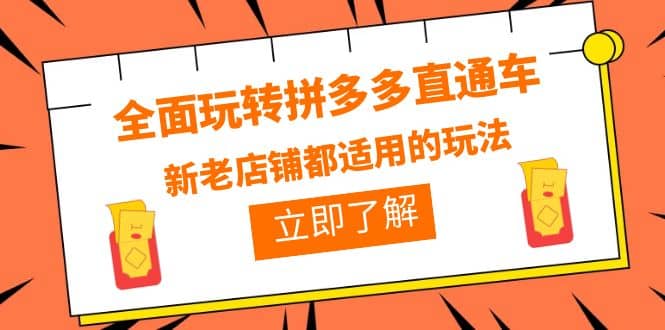 全面玩转拼多多直通车，新老店铺都适用的玩法（12节精华课）-徐哥轻创网