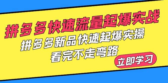 拼多多-快速流量起爆实战，拼多多新品快速起爆实操，看完不走弯路-徐哥轻创网