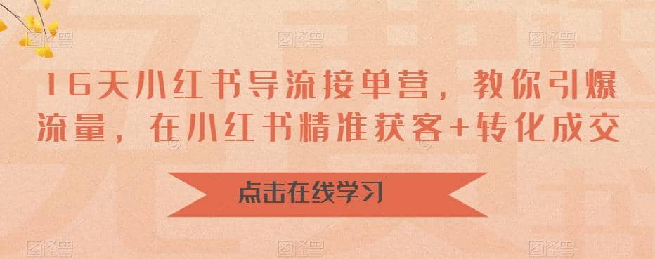 16天-小红书 导流接单营，教你引爆流量，在小红书精准获客 转化成交-徐哥轻创网