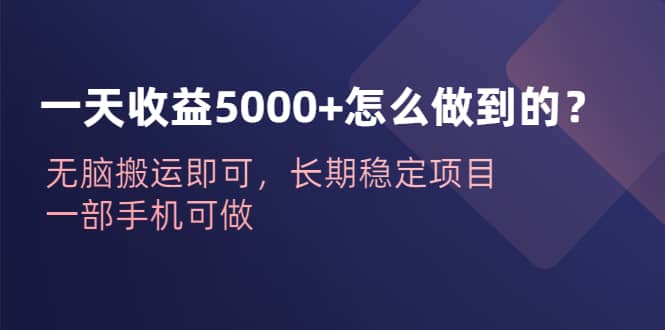 一天收益5000 怎么做到的？无脑搬运即可，长期稳定项目，一部手机可做-徐哥轻创网