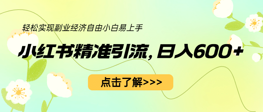 小红书精准引流，小白日入600 ，轻松实现副业经济自由（教程 1153G资源）-徐哥轻创网