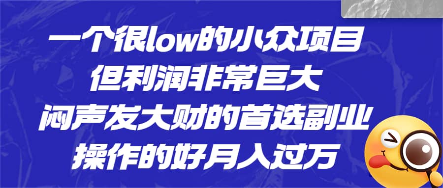 一个很low的小众项目，但利润非常巨大，闷声发大财的首选副业，月入过万-徐哥轻创网