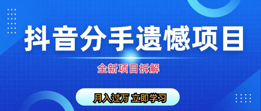 自媒体抖音分手遗憾项目私域项目拆解-徐哥轻创网