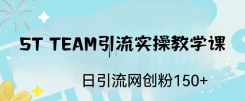 ST TEAM引流实操课，日引流网创粉100-徐哥轻创网