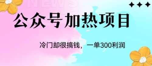 冷门公众号加热项目，一单利润300-徐哥轻创网