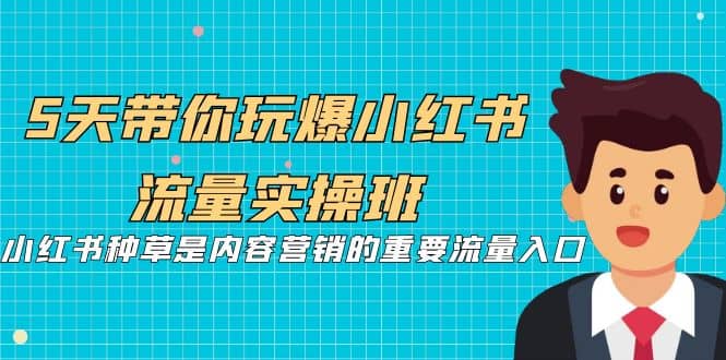 5天带你玩爆小红书流量实操班，小红书种草是内容营销的重要流量入口-徐哥轻创网