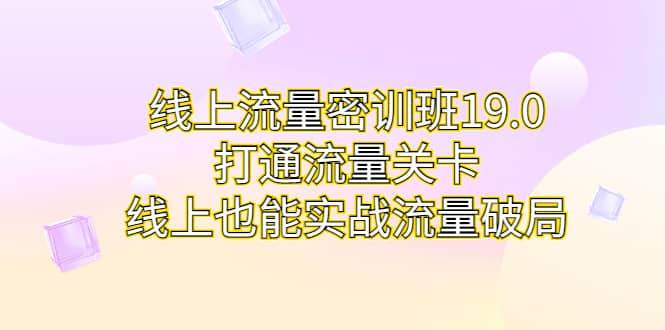 线上流量密训班19.0，打通流量关卡，线上也能实战流量破局-徐哥轻创网