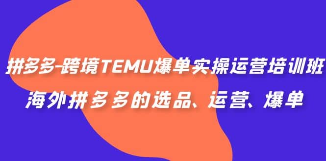 拼多多-跨境TEMU爆单实操运营培训班，海外拼多多的选品、运营、爆单-徐哥轻创网