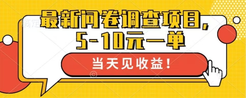 最新问卷调查项目，共12个平台，单日零撸100＋-徐哥轻创网