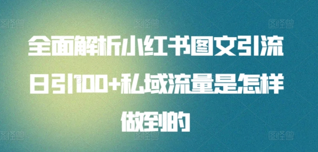 暴力引流 小红书图文引流日引100私域全面拆解【打粉人必看】-徐哥轻创网