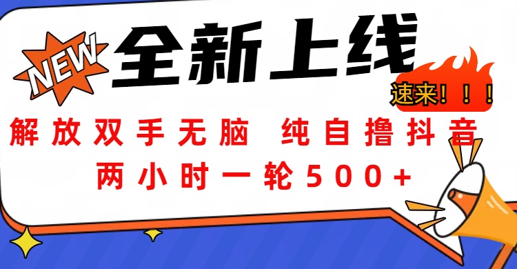 解放双手无脑 纯自撸抖音 两小时一轮500+-徐哥轻创网