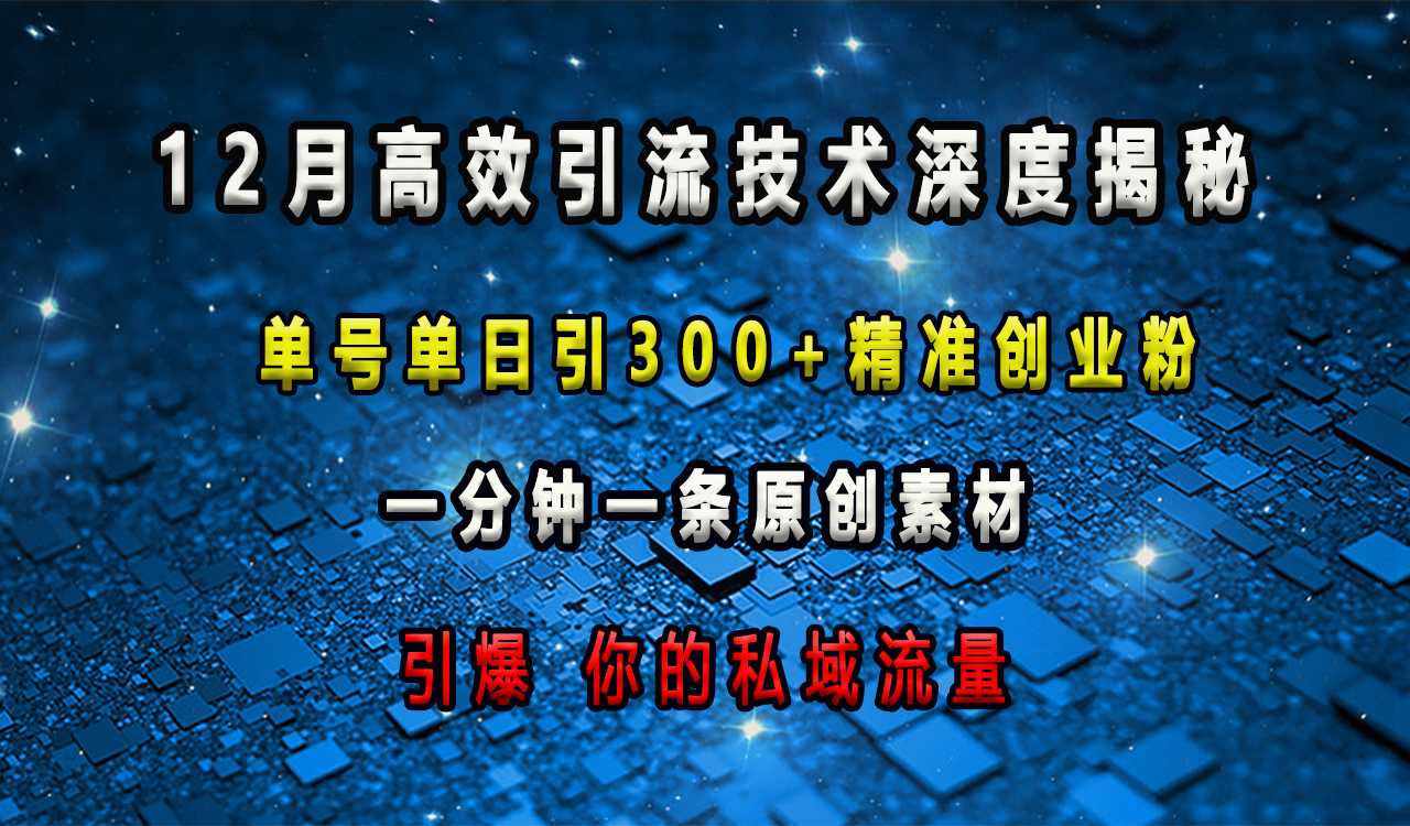 12月高效引流技术深度揭秘 ，单号单日引300+精准创业粉，一分钟一条原创素材，引爆你的私域流量-徐哥轻创网