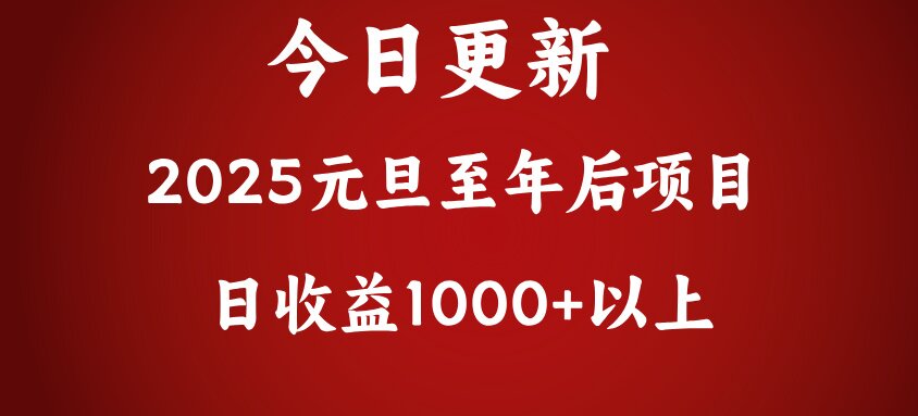 翻身项目，日收益1000+以上-徐哥轻创网