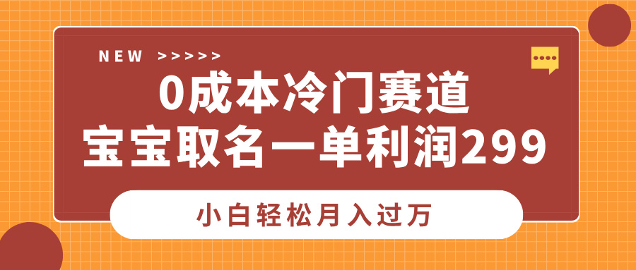 0成本冷门赛道，宝宝取名一单利润299，小白轻松月入过万-徐哥轻创网