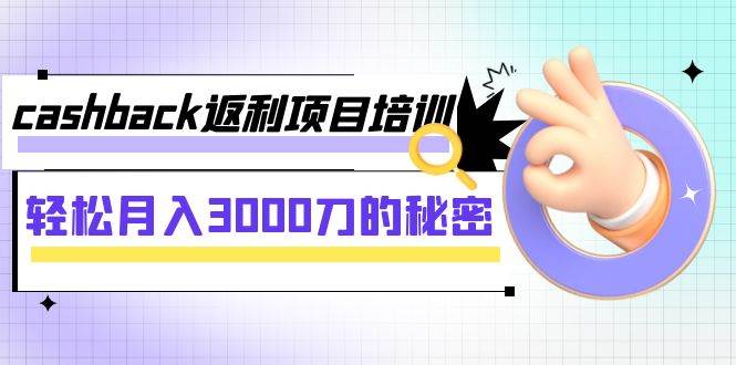 cashback返利项目培训：轻松月入3000刀的秘密（8节课）-徐哥轻创网