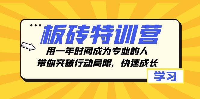 板砖特训营，用一年时间成为专业的人，带你突破行动局限，快速成长-徐哥轻创网